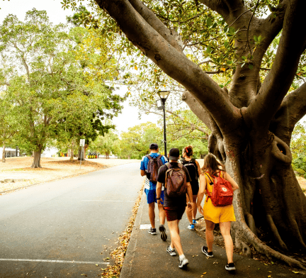 Students walking
